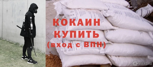 PSILOCYBIN Лагань