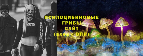 PSILOCYBIN Лагань