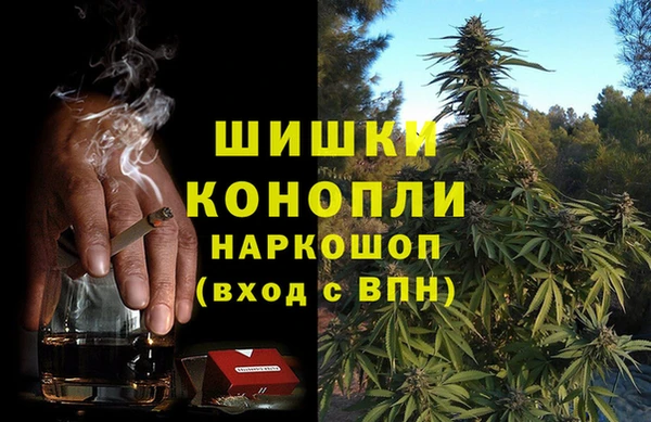 шишки Апатиты